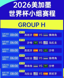 2026年世界杯比赛精彩瞬间